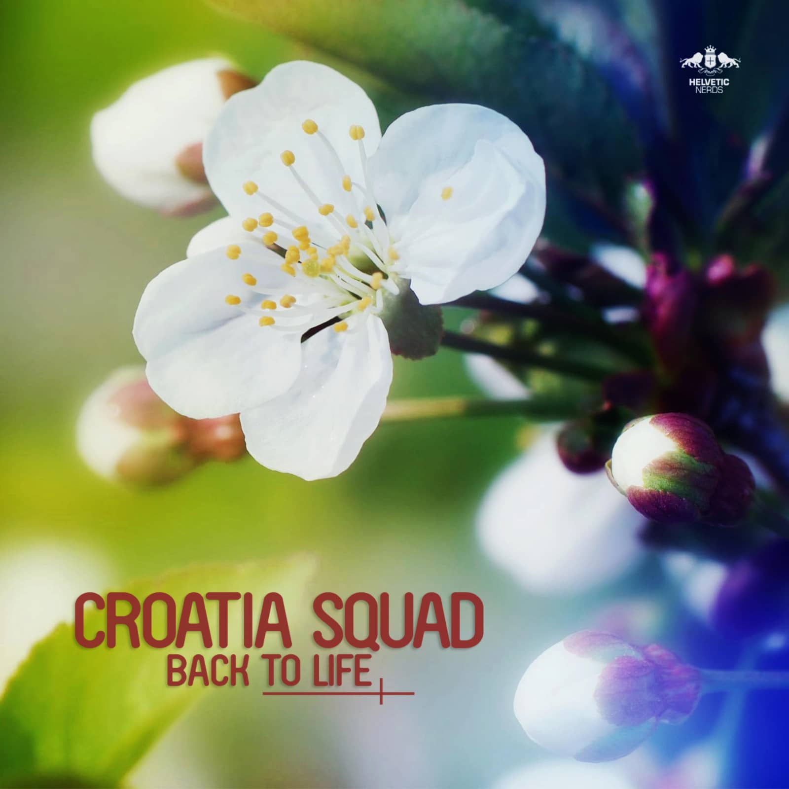 Croatia Squad — Back to Life